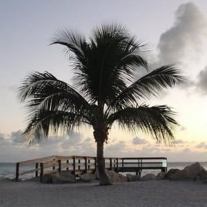 Meet your Posher, Kimann